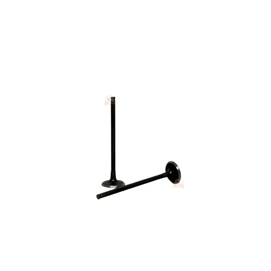 Valvulas De Escape Ktm Duke 250 G3 Original