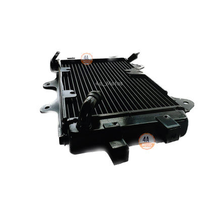 Radiador Dominar 400 Original Bajaj