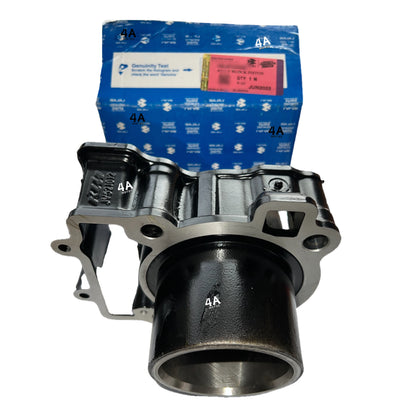 Kit Cilindro Completo Dominar 250 Original Bajaj