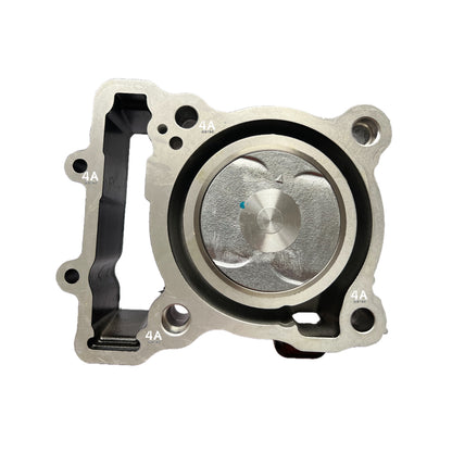 Kit Cilindro Completo Dominar 250 Original Bajaj