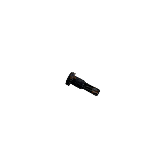 Tornillo Pata Lateral KTM Duke 200