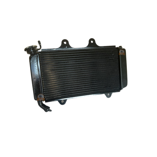 Radiador Husqvarna Svartpilen 401 Original