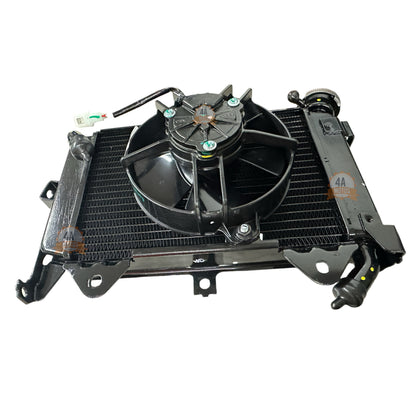 Radiador Con Ventilador Pulsar Ns200 Bajaj Original