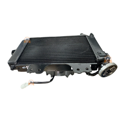 Radiador Con Ventilador Pulsar Ns200 Bajaj Original