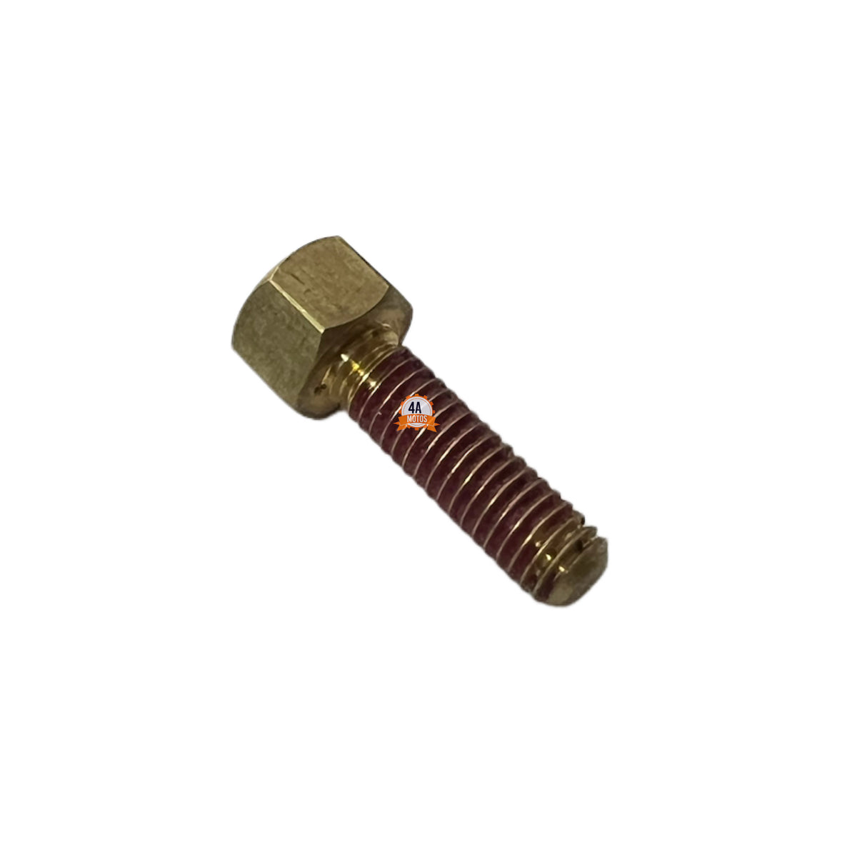 Tornillo Pata Lateral Dominar 250 / 400 V1 / Ug / Touring