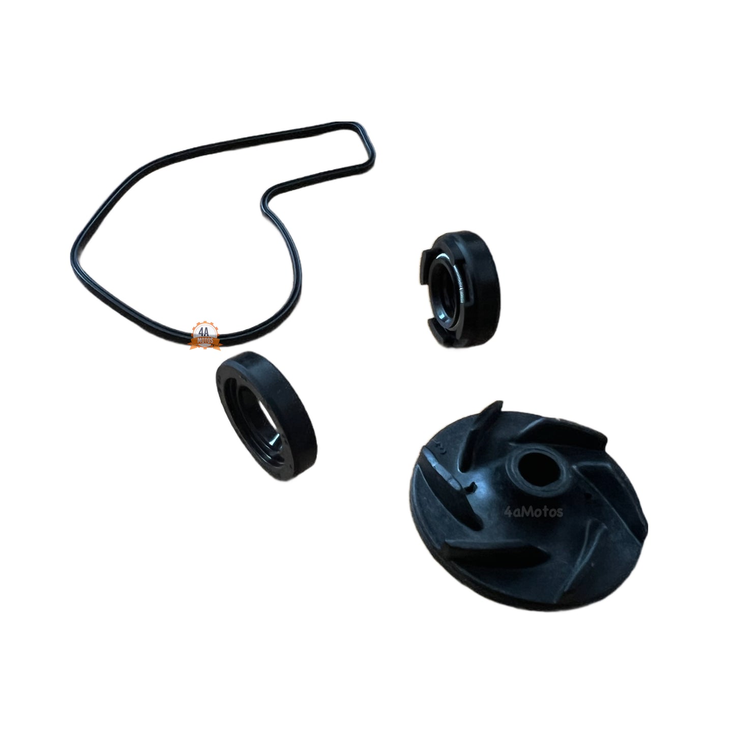 Kit Retenes De Bomba De Agua Dominar 250-400 Original Bajaj