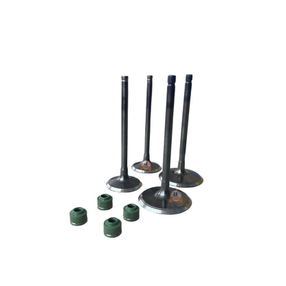 Kit Valvulas Admision Escape N 250 Con Sellos