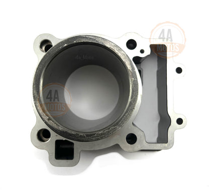 Kit Cilindro Completo Ktm Duke 250 Original