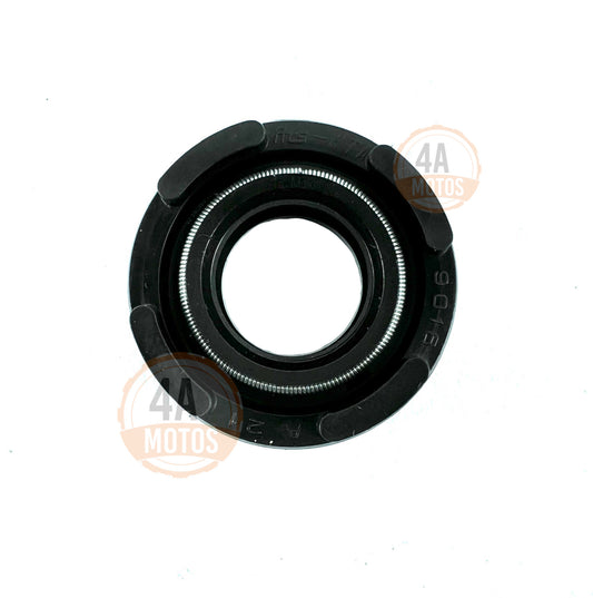 Reten Bomba Agua Ns Fi - Rs 200 Dominar 400 Original Bajaj