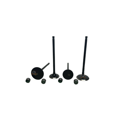 Kit Valvulas Admision Y Escape Ns 200