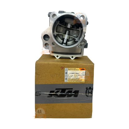 Kit Cilindro Ktm Duke 390 G3 Original