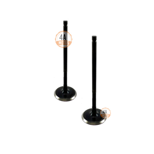 Válvulas Admisión Ns 200 Bajaj Original