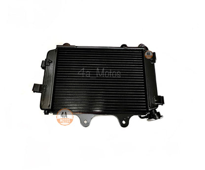 Radiador Dominar 250 Original Bajaj