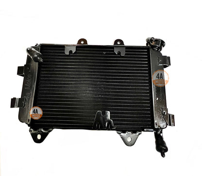 Radiador Dominar 250 Original Bajaj