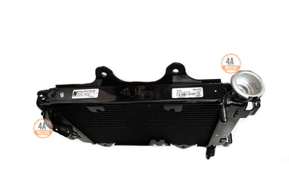 Radiador Dominar 250 Original Bajaj