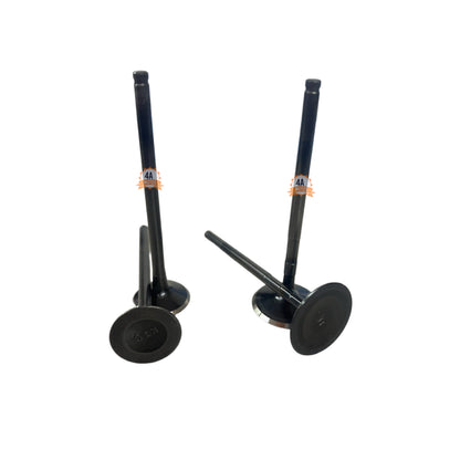Kit Valvulas Admision Y Escape Dominar 250 Original