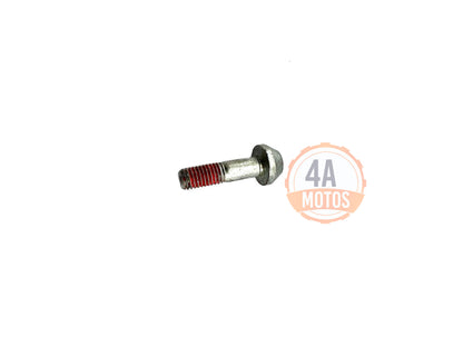 Tornillo Pedal Cambios Ktm Duke 200 / 250 / 390  Original