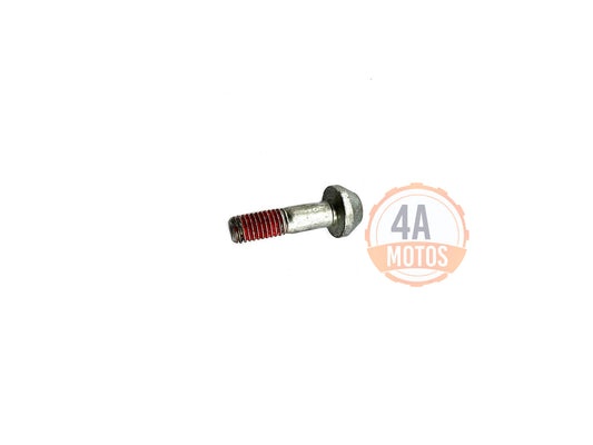Tornillo Pedal Cambios Ktm Duke 200 / 250 / 390  Original