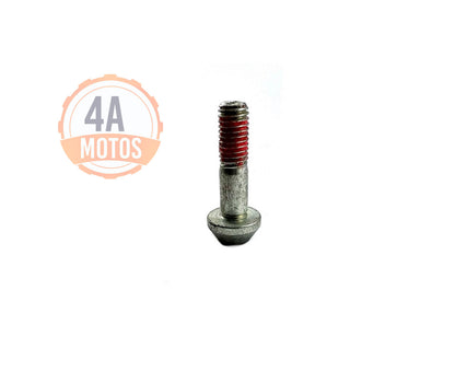 Tornillo Pedal Cambios Ktm Duke 200 / 250 / 390  Original