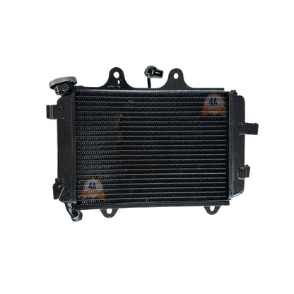 Radiador Completo Dominar 400 V1/Ug/Touring Original Bajaj